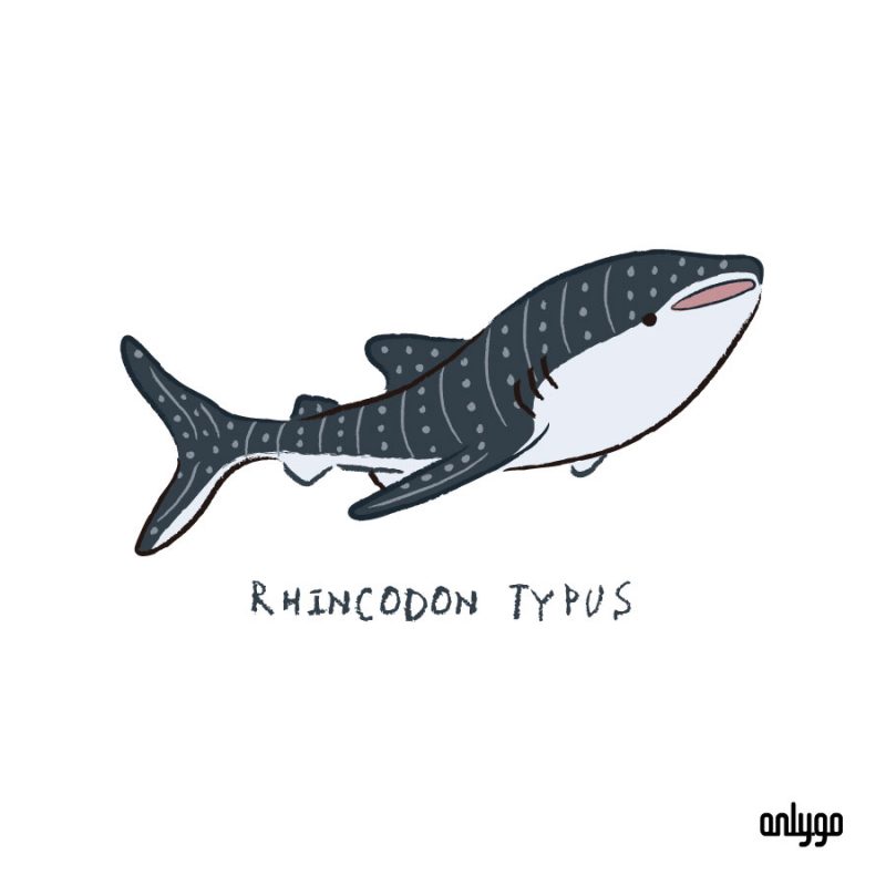 瀕危動物 T 恤鯨鯊印花